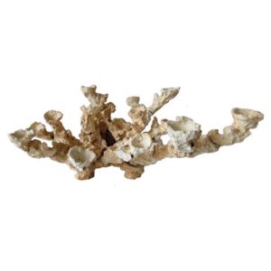 Aquaroche pieces are ceramic, porous rocks, that make for realistic décor items in your tank.