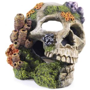 Classic Skull 2690 for aquatics tank