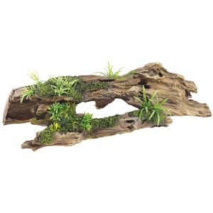 Classic Driftwood With Plants 3084