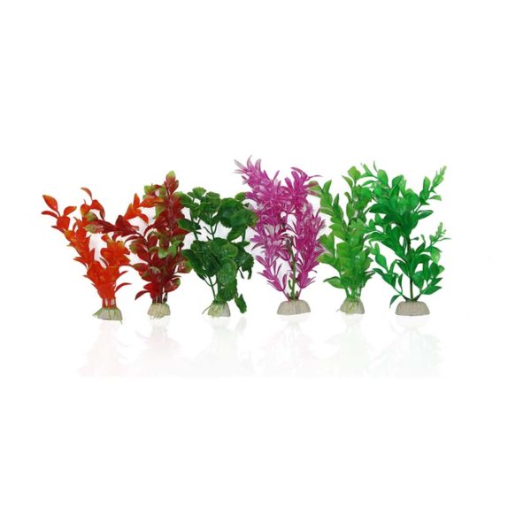 Aqua One Plastic Plant 6 Pack Mixed (S) 24237