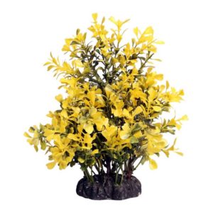 The Aqua One Ecoscape Medium Japanese Box Yellow 28379 is an artificial plant ornament that is a visually captivating addition to your aquarium.
