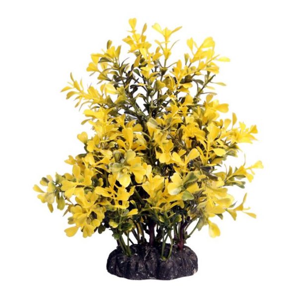 The Aqua One Ecoscape Medium Japanese Box Yellow 28379 is an artificial plant ornament that is a visually captivating addition to your aquarium.