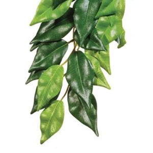 Exo Terra Silk Rucus (M) PT3041