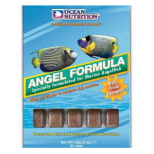 OceanOcean Nutrition Angel Formula 100g is the best frozen food for marine angelfish large or dwarf. It contains sponges which are a large part of the diet eaten by these fish in the wild.e