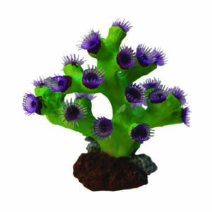 The artificial Hugo Turbistria Purple coral is an excellent addition to any aquarium, providing both visual appeal and a stimulating environment for your fish. Its vibrant purple coloration and unique, branching shape make it an eye-catching piece that can enhance the overall aesthetic of your tank.