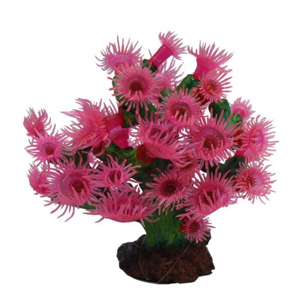The Hugo Turbistria Pink is a beautiful and realistic-looking aquarium decoration that is perfect for adding color and interest to your aquarium. This ornament is designed to mimic the appearance of a real-life Turbistria coral, which is a popular species of marine coral found in the Indo-Pacific region.
