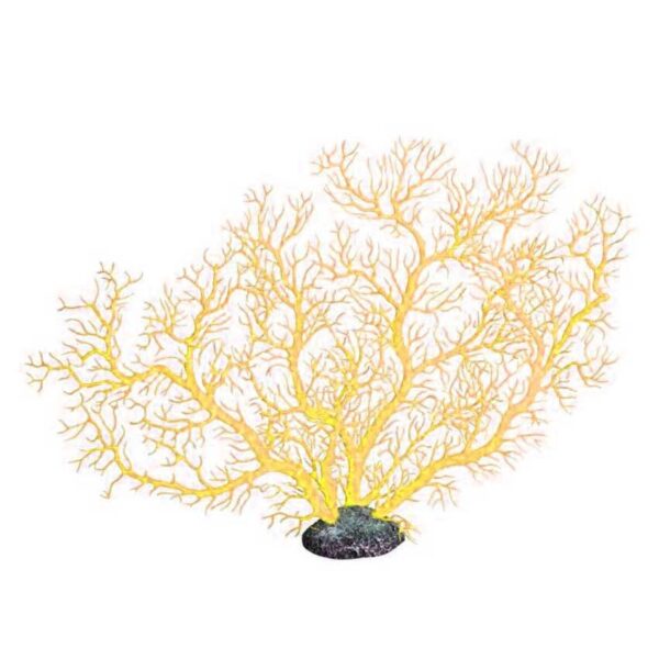 The Aqua One Coral Fan Yellow (M) is a stunning and realistic artificial coral ornament designed to enhance the beauty and natural appearance of your aquarium or fish tank.