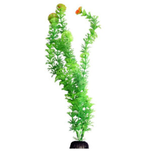 Aqua One Ecoscape XLarge Ambulia Green 28418