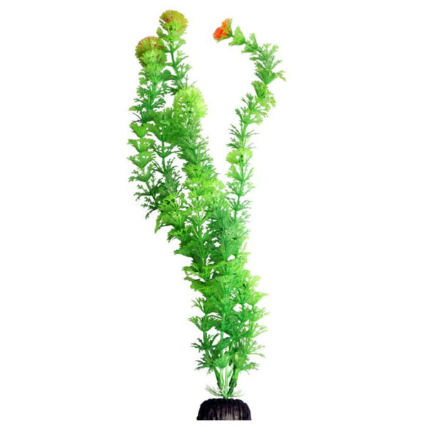 Aqua One Ecoscape XLarge Ambulia Green 28418