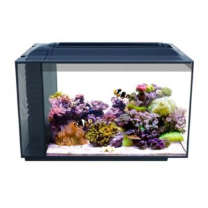 Fluval SEA Evo 52L great starter marine tank