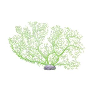 The Aqua One Coral Fan Green (M) is a stunning and realistic artificial coral ornament designed to enhance the beauty and natural appearance of your aquarium or fish tank.