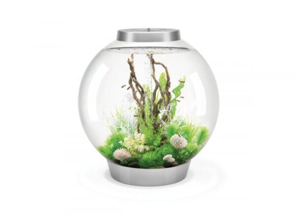 biOrb Classic Mcr Silver 30 Litre Aquarium is a complete all-in-one acrylic fish tank setup