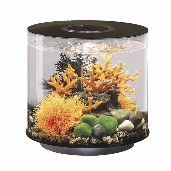 biOrb Tube 30L Black Aquarium is a complete all-in-one package that features everything you require to get setup quickly and easily.