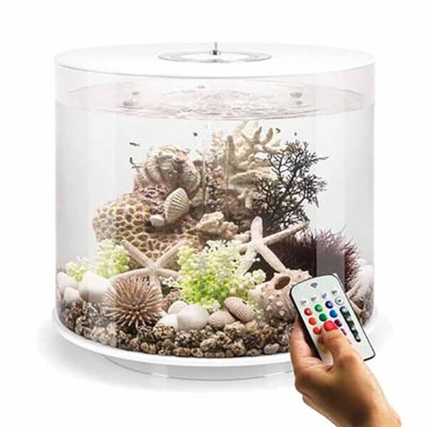 The biOrb Tube Aquarium is a complete all-in-one package that features everything you require to get setup quickly and easily.