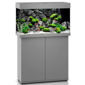 Juwel Rio 125 Grey