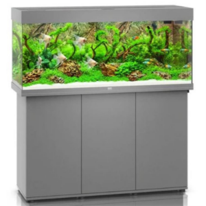 Emphasising individuality: Rio 240 Led and Cabinet Grey.