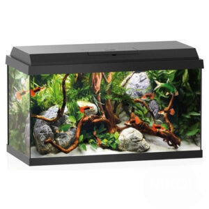 The Juwel Primo 60 Aquarium An entry-level system. Entry into aquariums at the highest technical level. Modern LED lighting and efficient filtering round of the Primo concept perfectly. The safety base frame ensures especially safe positioning and allows you to set up your aquarium easily, with no need for special supports. Skilful workmanship, high-quality materials and perfectly coordinated technology ensure a maximum of quality and safety. This guarantees the longevity of the Primo 60 LED.