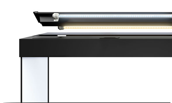 Juwel rio 240 led lights hotsell