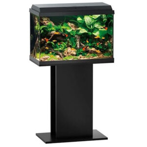 The Primo 70 and Stand Black An entry-level system. Entry into aquariums at the highest technical level. Modern LED lighting and efficient filtering round of the Primo concept perfectly.