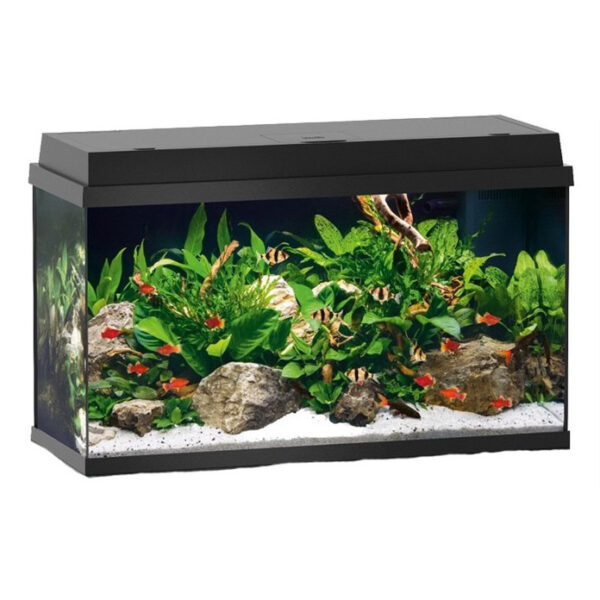 The Primo 70 Aquarium Black An entry-level system. Entry into aquariums at the highest technical level. Modern LED lighting and efficient filtering round of the Primo concept perfectly.