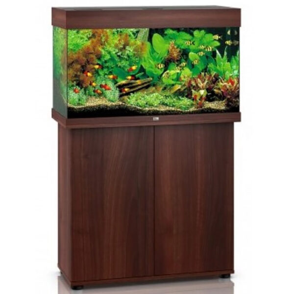 Rio 125 Led and Cabinet Dark Wood is the smallest aquarium in the RIO range. With its compact surface area of 81 x 36 cm and classic rectangular design, the RIO 125 LED will fit perfectly into any design scheme.