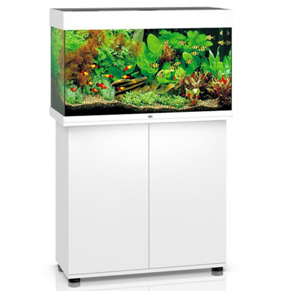 Rio 125 Led and Cabinet White is the smallest aquarium in the RIO range. With its compact surface area of 81 x 36 cm and classic rectangular design, the RIO 125 LED will fit perfectly into any design scheme.