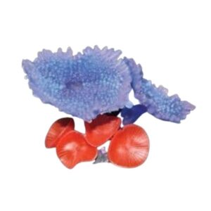 Aqua One Replica Coral 37344 is a beautiful and realistic aquarium decoration that can add interest and variety to your aquarium setup while creating a natural-looking environment for your fish.