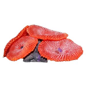The Aqua One Replica Coral 37343 is a stunning and realistic artificial ornament that is designed to enhance the beauty and natural appearance of your aquarium or fish tank.