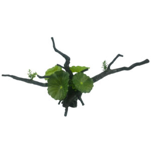 The Aqua One Ecoscape Calathea Driftwood Green 16x33cm 28447 is a beautifully designed aquarium decoration that resembles a piece of driftwood with vibrant green Calathea plants growing on top