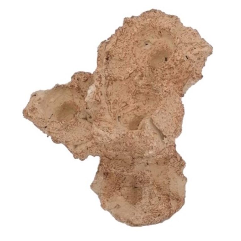 Aquaroche Zoa Garden Rock Nano 540001 Fast Delivery Abyss Aquatics UK