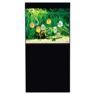 D-D Aqua Pro Freshwater 600 Black Gloss Aquarium and Cabinet