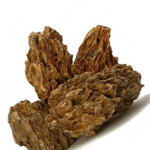 dragon rock