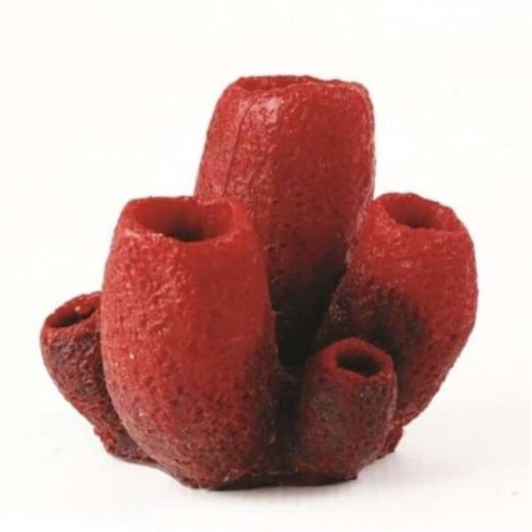 Natureform Coral Vase Sponge in Red and Purple (9781)