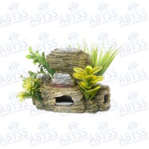 Rosewood Rocky Cave With Plants 911770