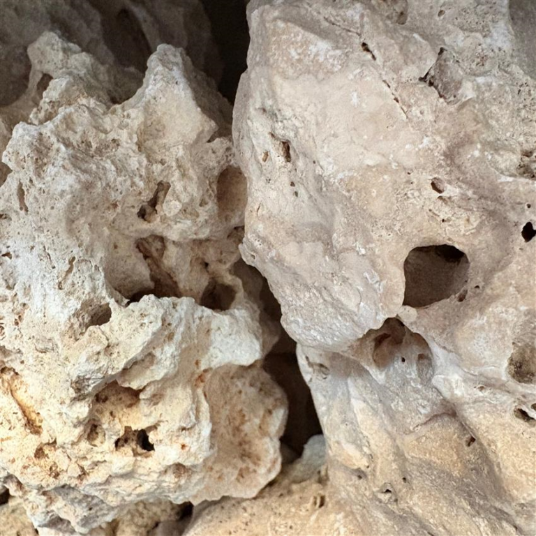 Calcareous Rocks Carbonaceous Rocks Ocean Rock (Calcareous) | Fast Delivery Abyss Aquatics UK