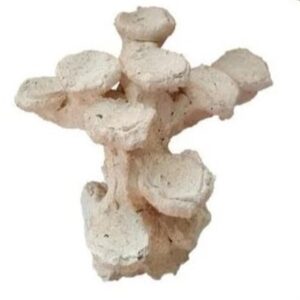 Aquaroche Euphy Rock S 540008