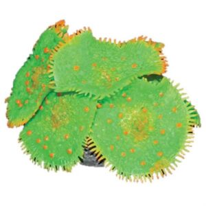 The Aqua One Copi Coral Mushrooms 37342