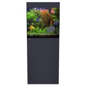 D-D Aqua Pro Freshwater 600 CUBE Anthracite Matt Aquarium and Cabinet