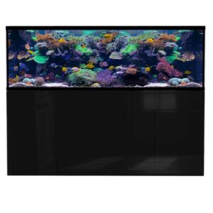 D-D Aqua Pro Reef 2100 Ultra Gloss Black Aquarium and Cabinet