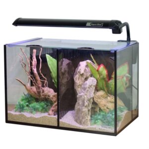 Aqua One Aquarium Betta Duo 20L Aquarium Set