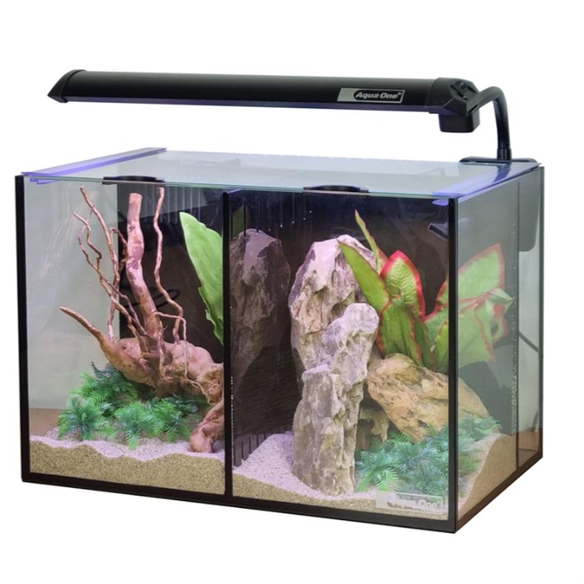 Aqua_One_Aquarium_Betta_Duo_20L.jpg Aqua One Aquarium Betta Duo 20L Aquarium Set