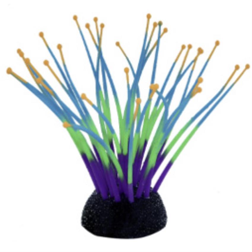 Aqua_One_Coral_Glowing_Cascade_Anemone_36233.jpg