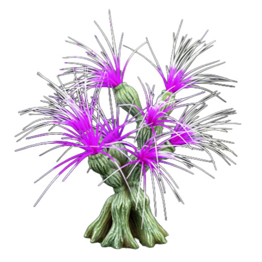 Aqua_One_Fireworks_Anemone_37567.jpg