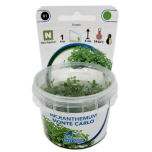 Easy Grow 81 Micranthemum Monte Carlo