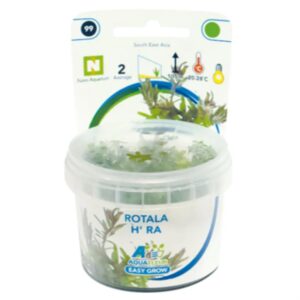 Easy Grow 99 Rotala H'Ra