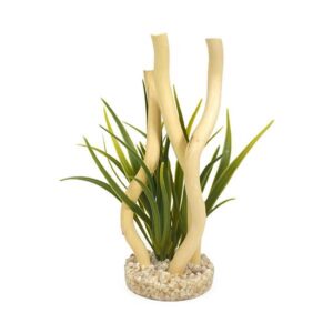 Rosewood Aqua Branch Plant 15710