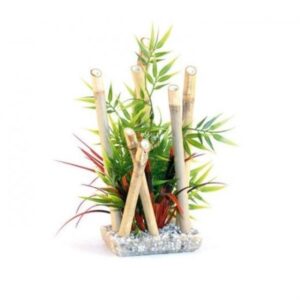 Rosewood Bamboo Plant Medium 15631