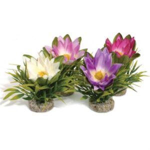 Rosewood Lotus Flower 15635