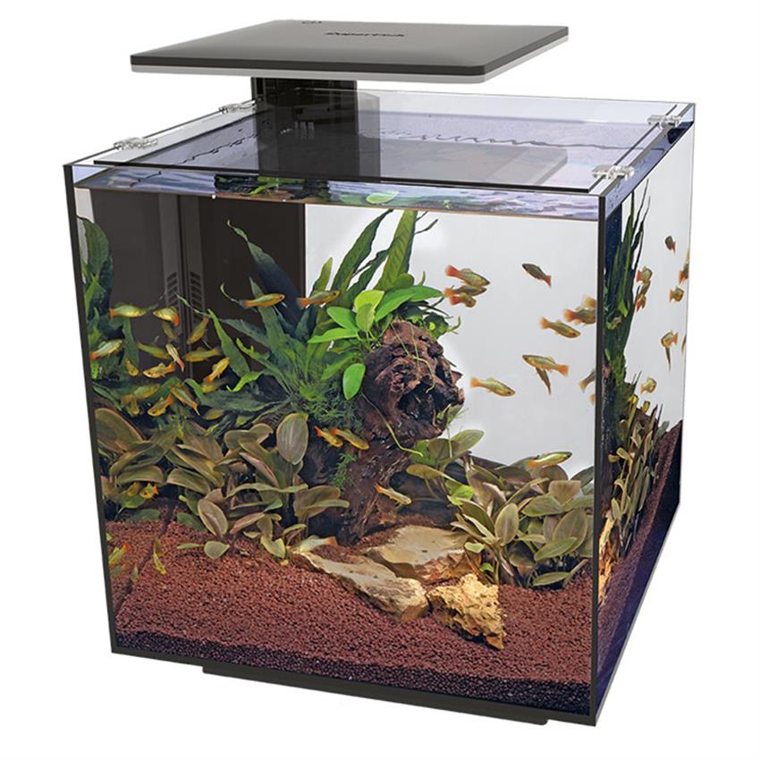 Superfish_Qubiq_60_Aquarium_Black.jpg
