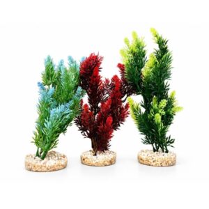 Rosewood Fiesta Bush 15589: Random colour
